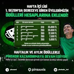 pin-PinSkorSiralama-sm-tg (2).jpg